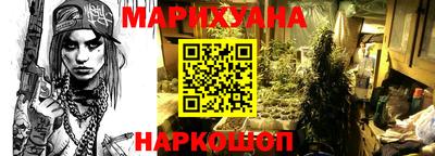 мдпв Славгород