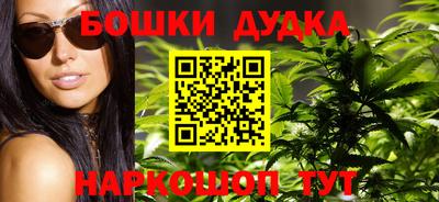 мдпв Славгород