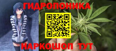 мдпв Славгород