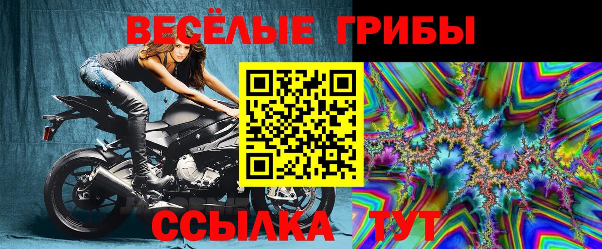 Псилоцибиновые грибы мицелий  Вход с VPN  Новочеркасск 